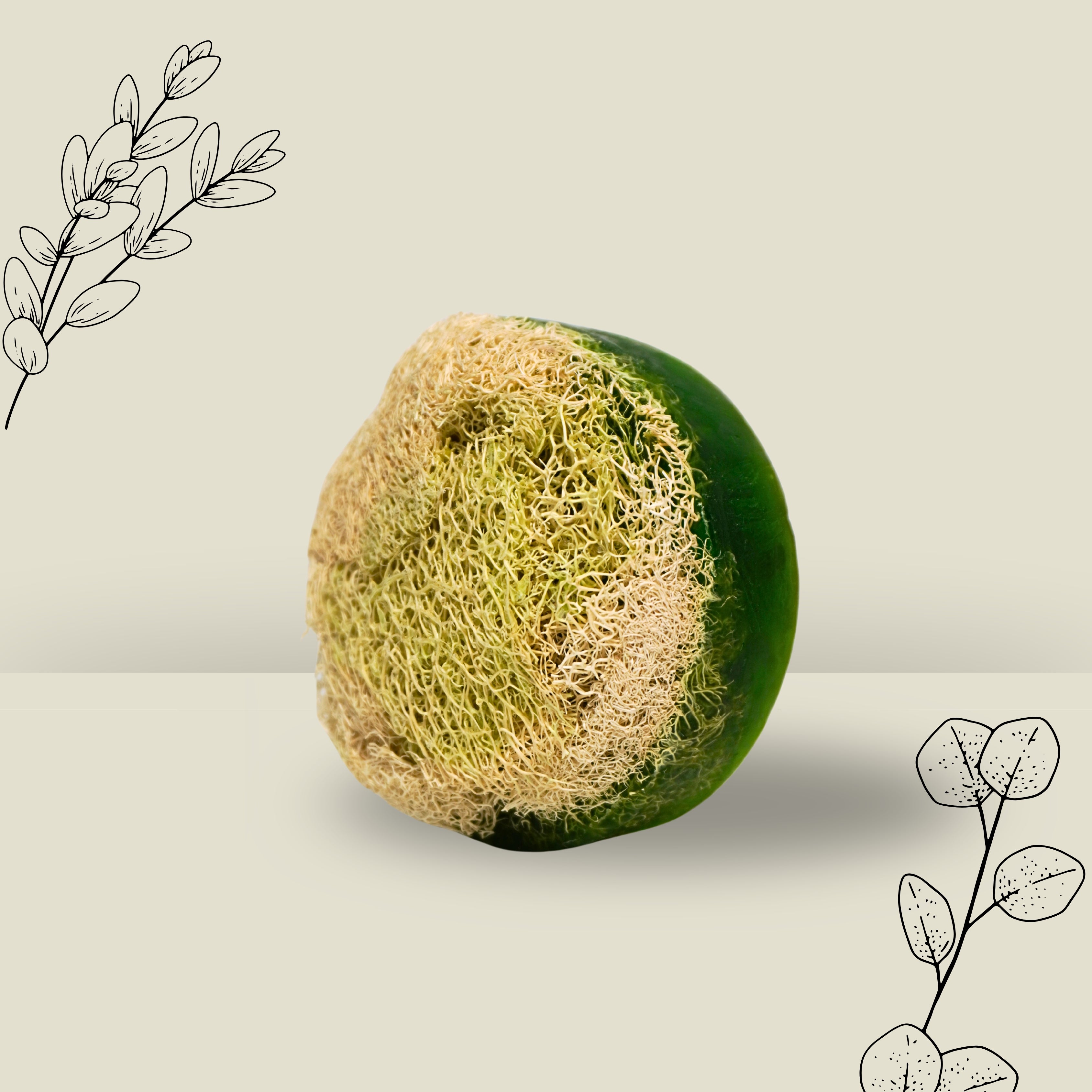 Loofah Eukalyptus – Belebendes Peeling mit Frischekick