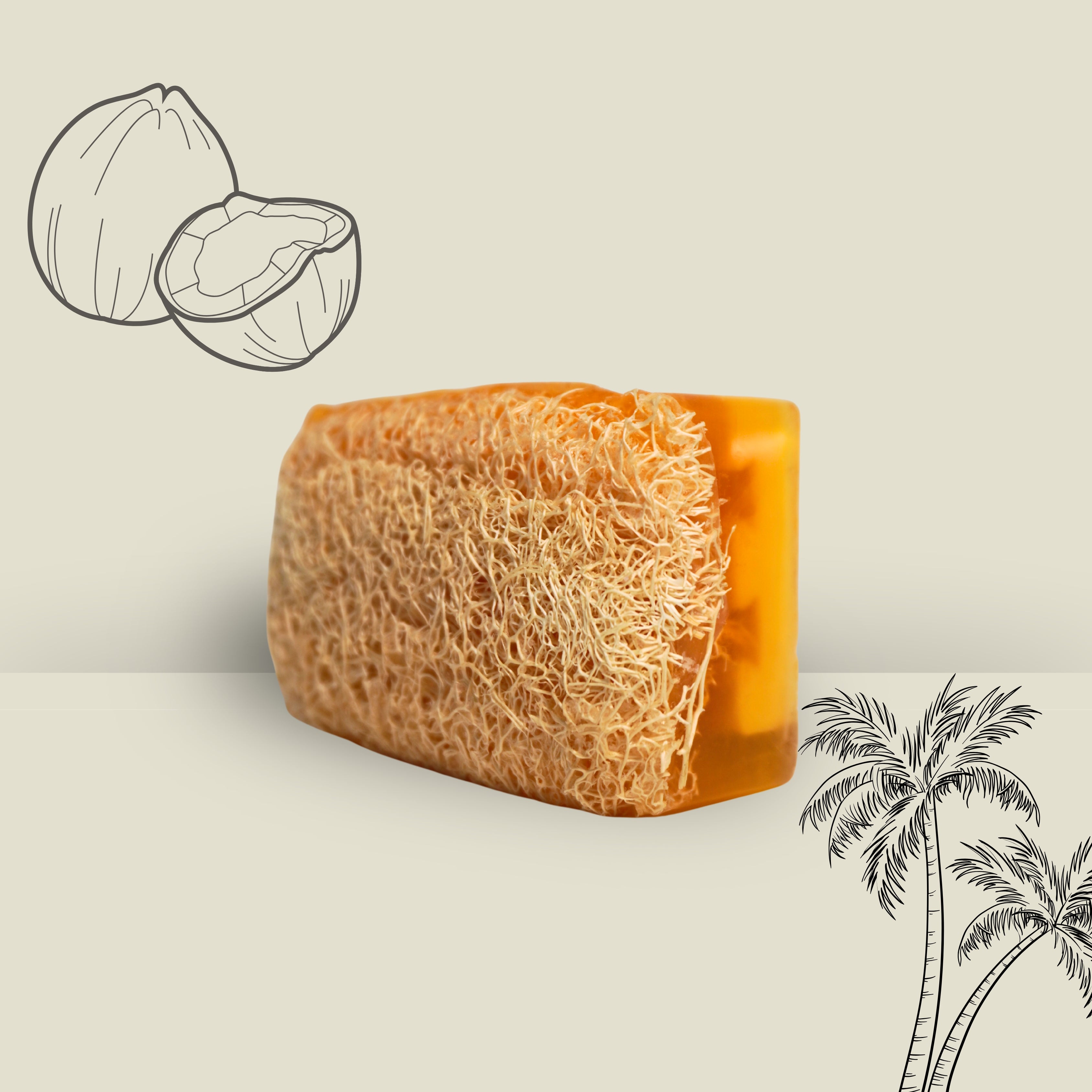 Loofah-Seifen 4er Pack