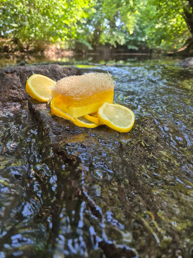 Loofah Zitrone