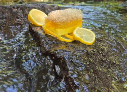 Loofah Zitrone